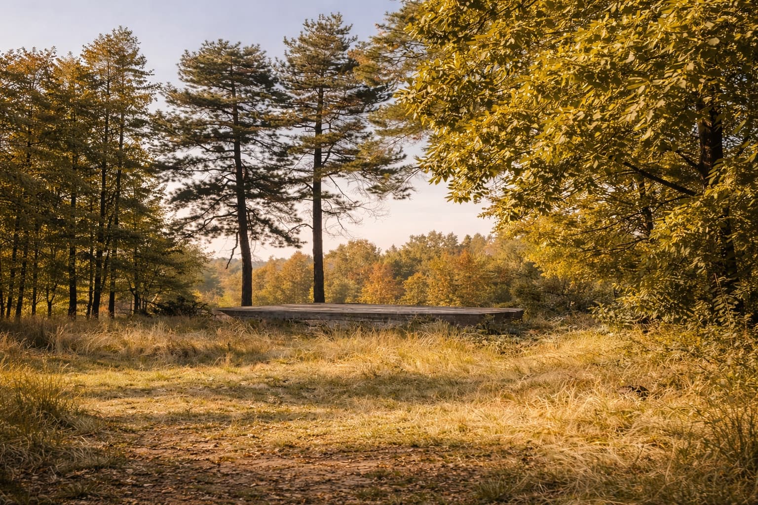 Природа и территория глэмпинга